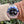 Charger l'image dans la galerie, Rolex GMT 16750 Pepsi am Arm