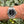 Charger l'image dans la galerie, gebrauchte Rolex Sea Dweller 16600 am Arm