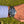 Load image into Gallery viewer, Rolex Sea Dweller 16600 neu am Arm