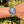 Laden Sie das Bild in den Galerie-Viewer, Rolex Submariner Datum Stahl am Arm