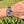 Charger l'image dans la galerie, Omega Aqua Terra 41,5 Stahl Rose am Arm