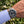 Laden Sie das Bild in den Galerie-Viewer, Tudor Pelagos 42 Titan am Arm