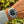 Laden Sie das Bild in den Galerie-Viewer, Tudor Submariner 79090 blue am Arm