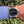 Load image into Gallery viewer, Panerai Luminor Marina gebraucht am Arm