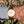 Load image into Gallery viewer, VC Patrimony 42 mech am Arm