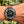 Load image into Gallery viewer, lim first Omega in Space am Arm