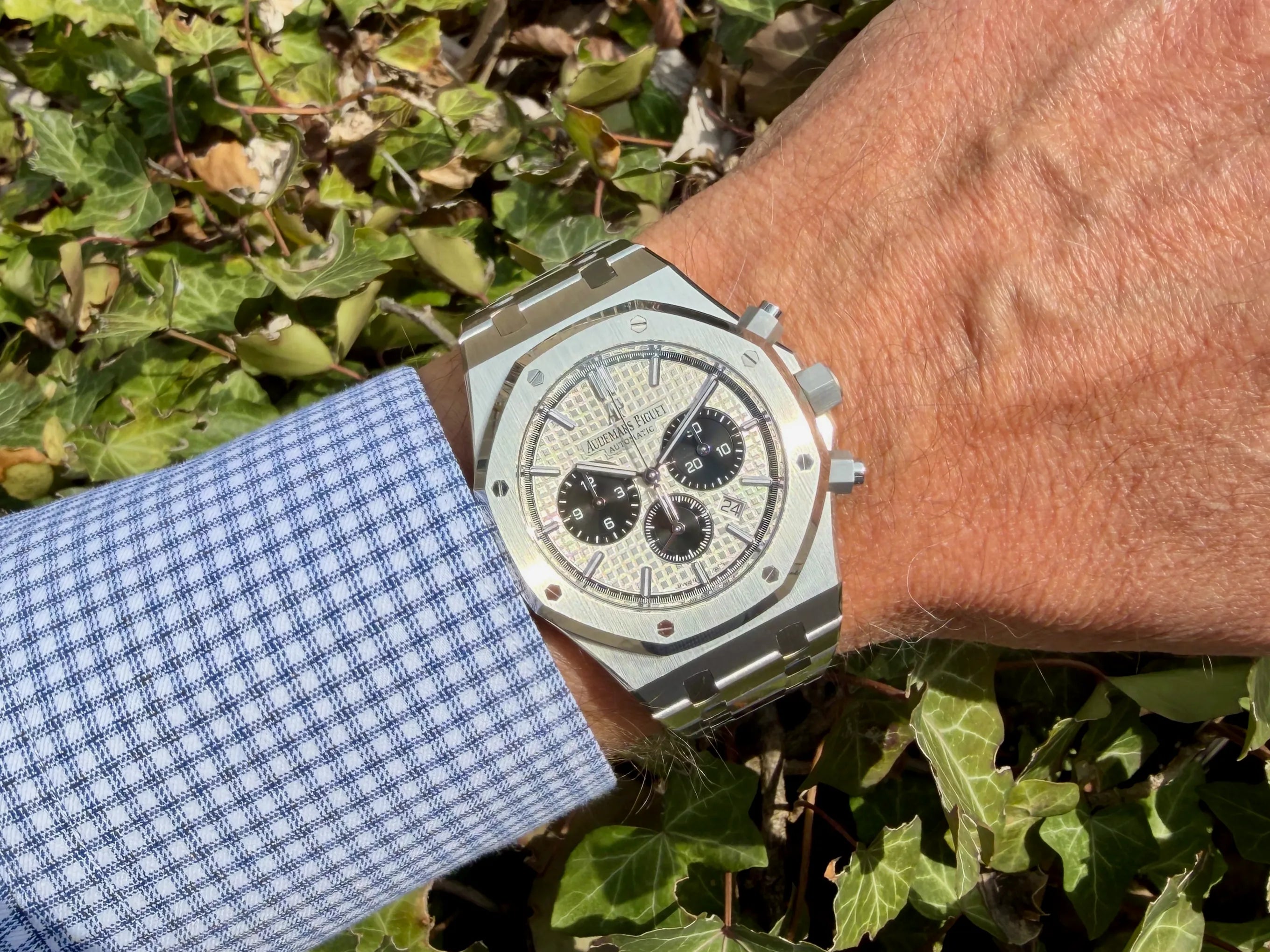 AP Royal Oak Chrono 26331ST am Arm