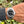 Charger l'image dans la galerie, Rolex GMT 116710 neu am Arm