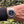 Load image into Gallery viewer, Rolex Sea Dweller 16600 am Arm