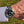 Laden Sie das Bild in den Galerie-Viewer, Rolex Submariner 16610 neu am Arm