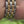 Load and play video in Gallery viewer, Cartier Lady Panthere Stahl Gold Video