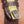 Load and play video in Gallery viewer, Rolex Day Date from 1976 Buckley Dial