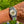 Laden Sie das Bild in den Galerie-Viewer, rolex-oysterdate-precision-6694-uae-am-arm
