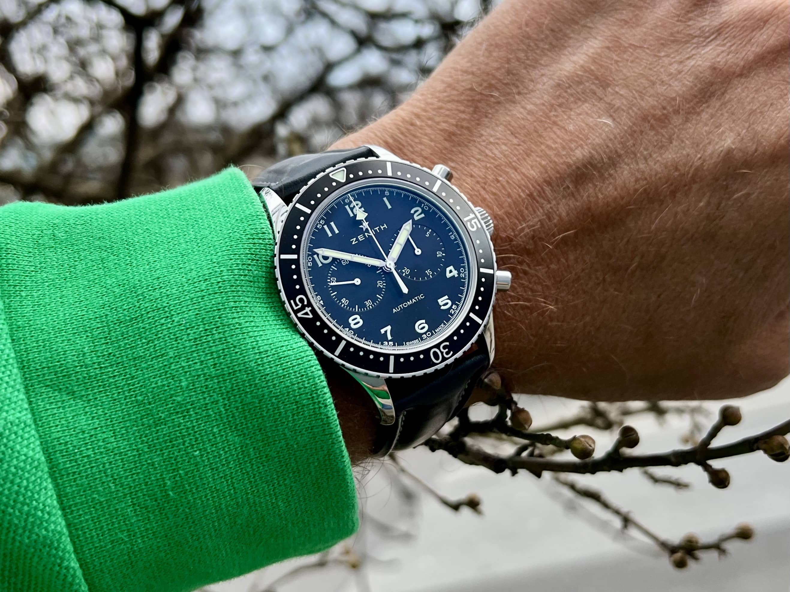 Zenith Cronometro CP 2 lim 1000 am Handgelenk vor einem Strauch