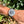 Laden Sie das Bild in den Galerie-Viewer, Breitling Navitimer Wold 46 A 24322 am Arm 1
