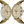 Laden Sie das Bild in den Galerie-Viewer, Erwin Sattler Chronograph 66 lim.Gehaeuse 3 9 
