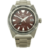 Grand Seiko Godzilla SBGA405 Stehend Titan