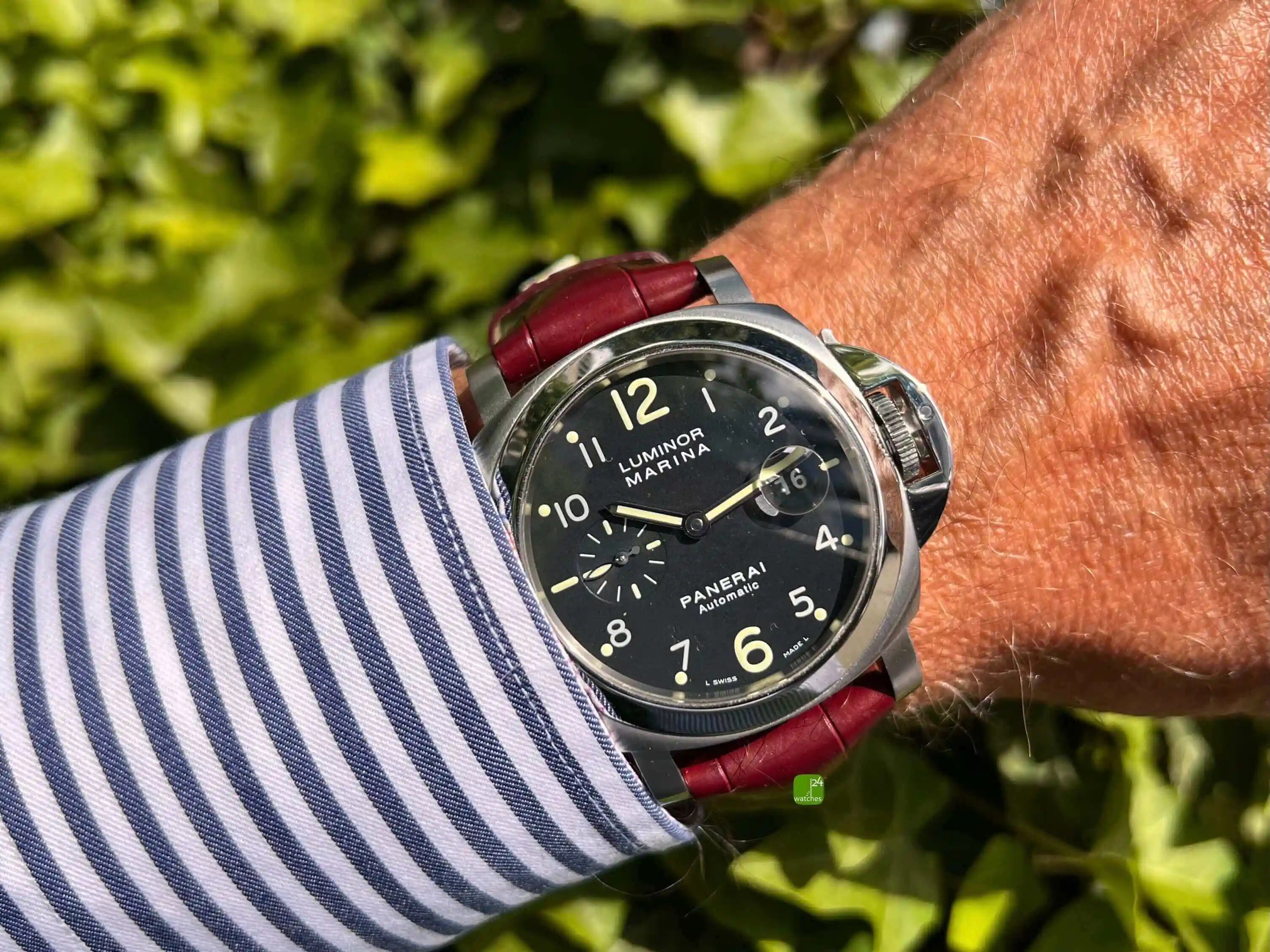Panerai Luminor Marina 44 Wirstshot