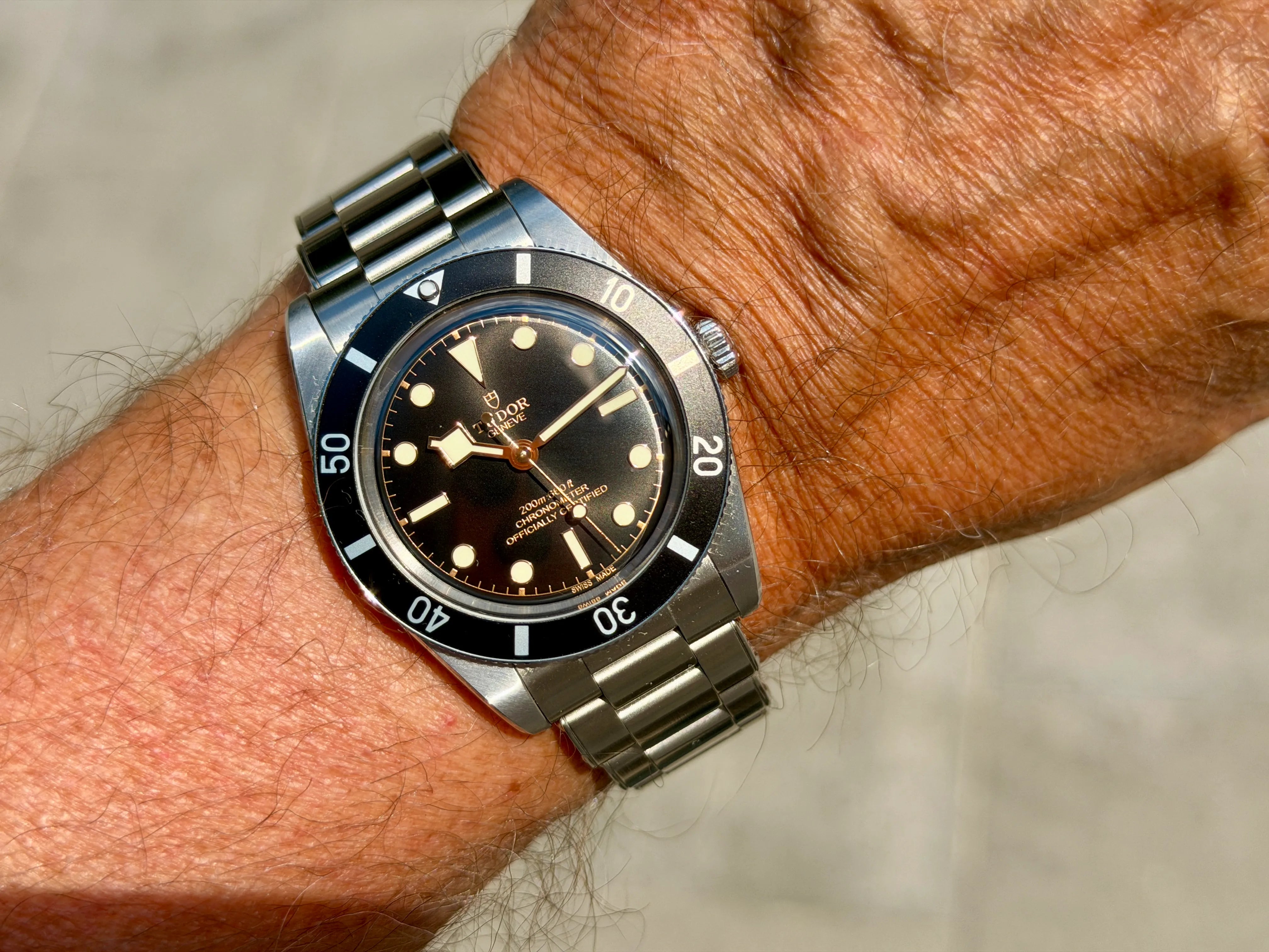 Tudor Black Bay 54 am Handgelenk