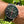 Load image into Gallery viewer, Montblanc Timewalker Chronograph am Handgelenk vor einem grünen Hintergrund
