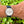 Load image into Gallery viewer, chronoswiss-rattrapante-ch7323-am-arm
