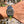 Load image into Gallery viewer, die-rolex-air-king116900-am-arm
