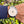 Load image into Gallery viewer, gebrauchte Breitling Uhr Navitimer World am Arm
