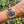 Load image into Gallery viewer, Jaeger Compressor Geographic 146.2.83 am Arm 1 
