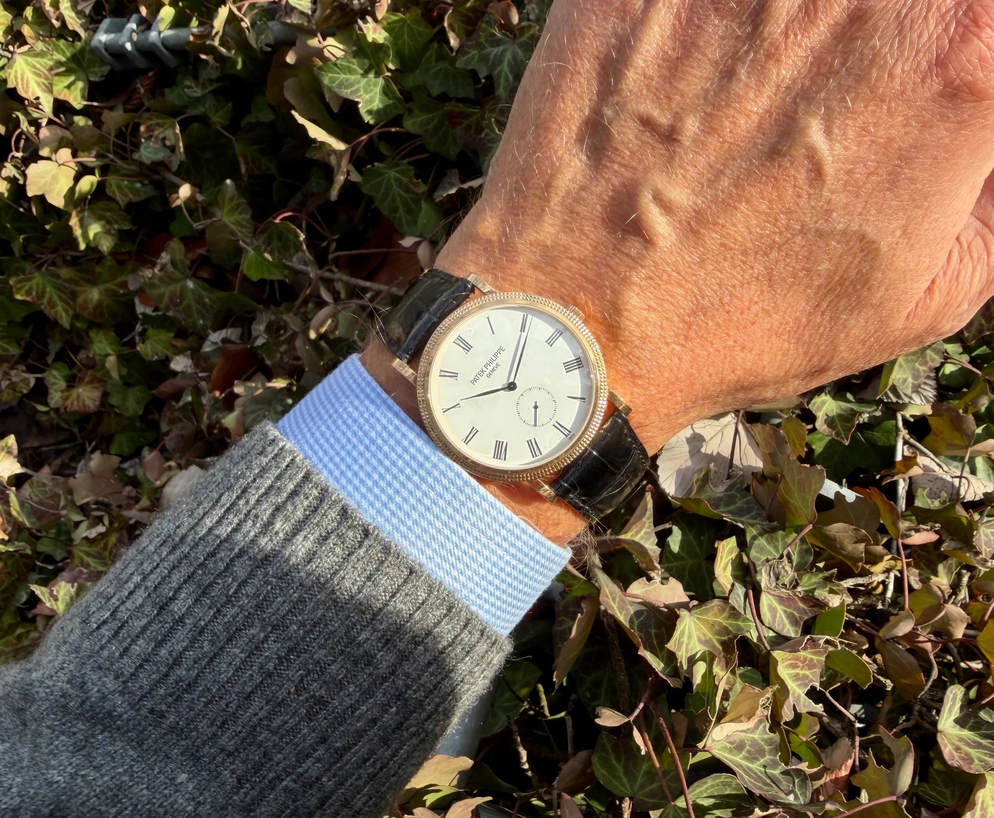Patek Philippe Calatrava 36 mm am Arm 