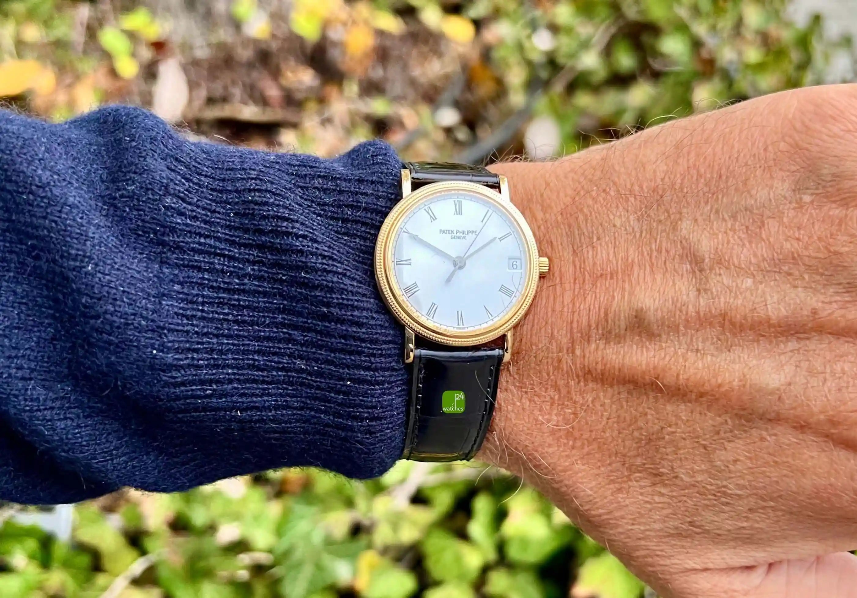 Patek Philippe Calatrava Wrist