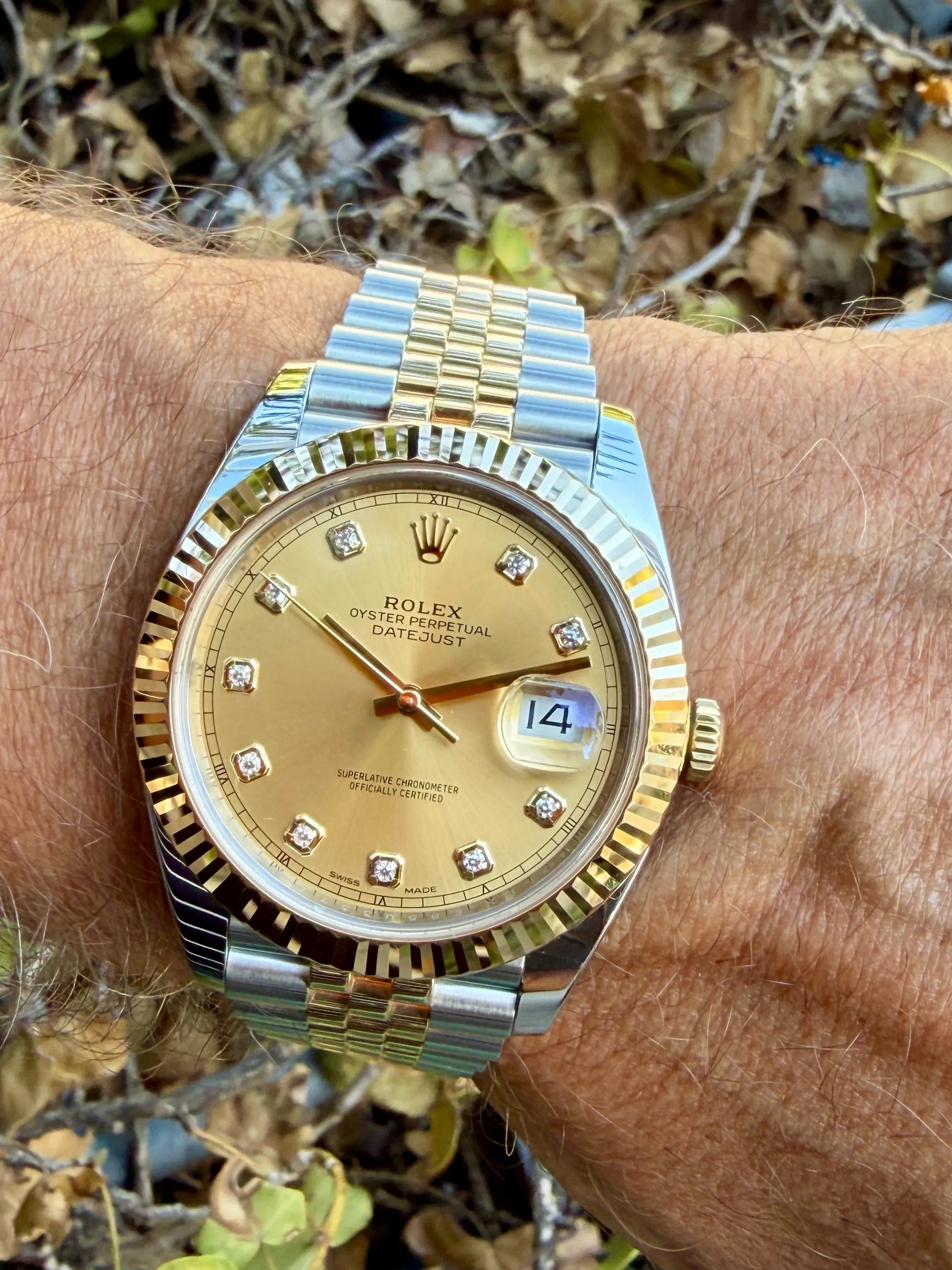 Rolex Datejust 31 126333 orig. Dia. am Arm 1 