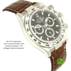 rolex-daytona-116519-gehaeuse-links