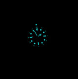 neu Rolex Submariner no Date 124060 lume