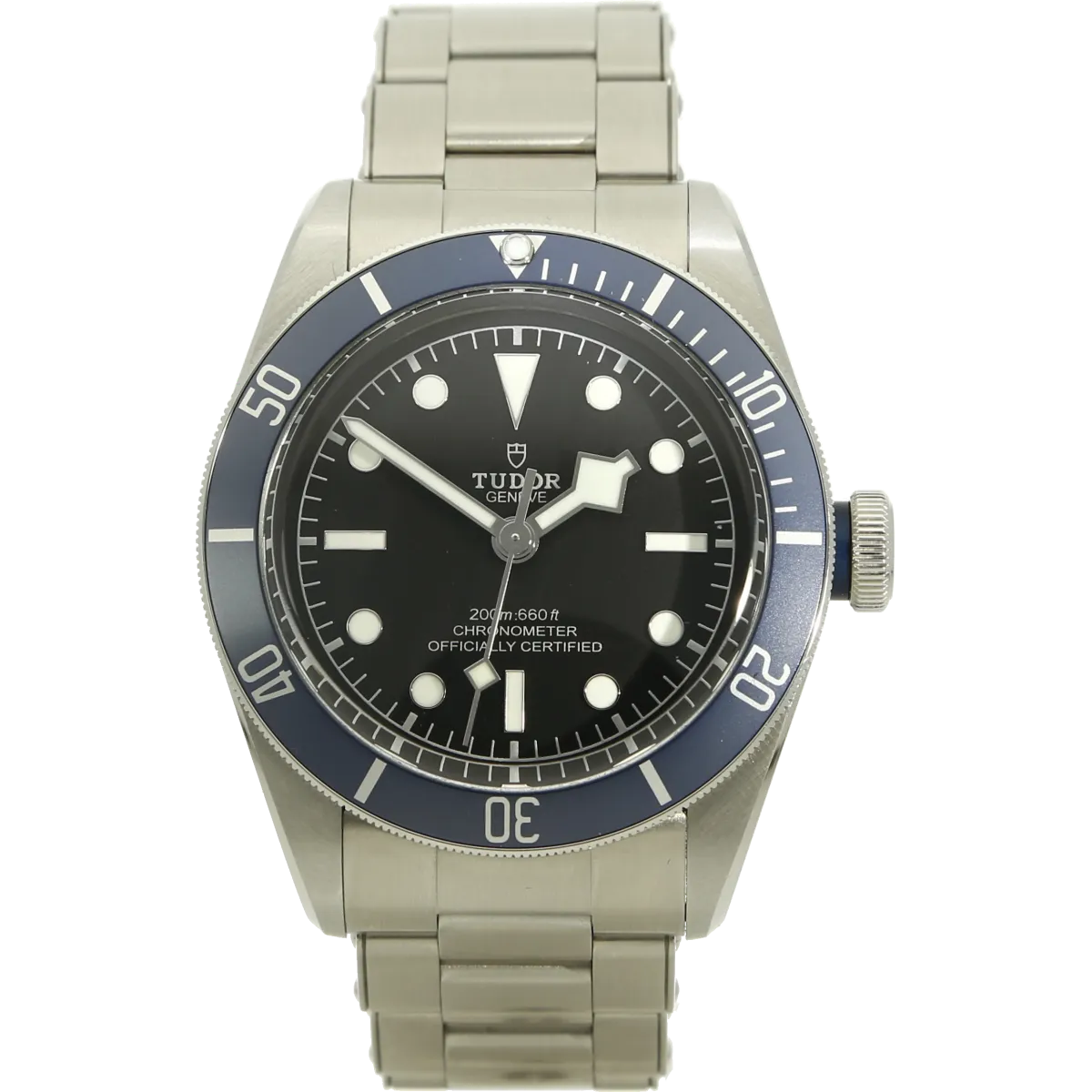 Tudor Black Bay 79230B stehend 