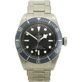 Tudor Black Bay 79230B stehend 