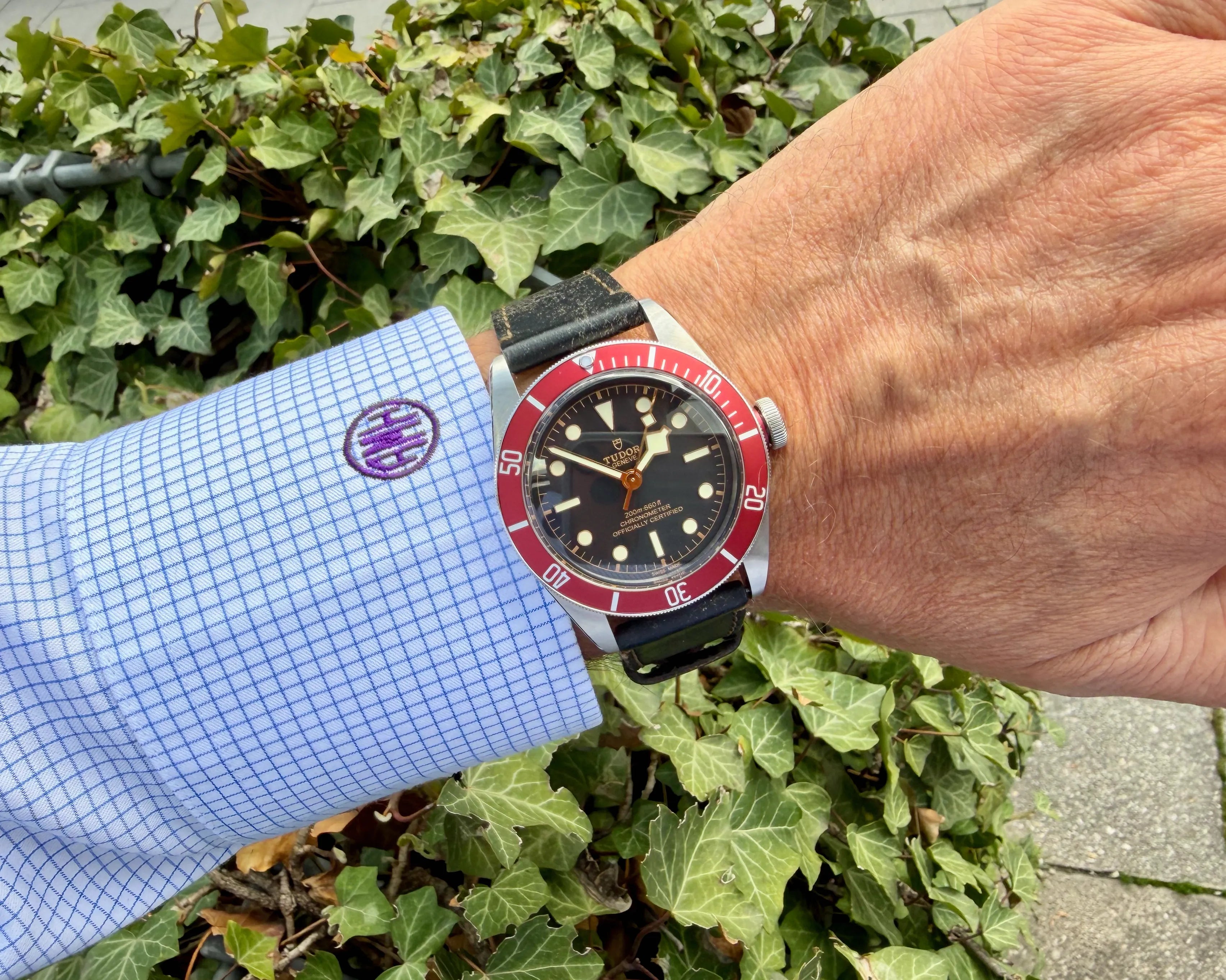 Tudor 79230 R Black Bay am Arm 