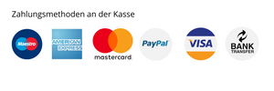 icons-zahlungsmethoden-an-der-kasse-maestro-american-express-mastercard-paypal-visa-banküberweisung