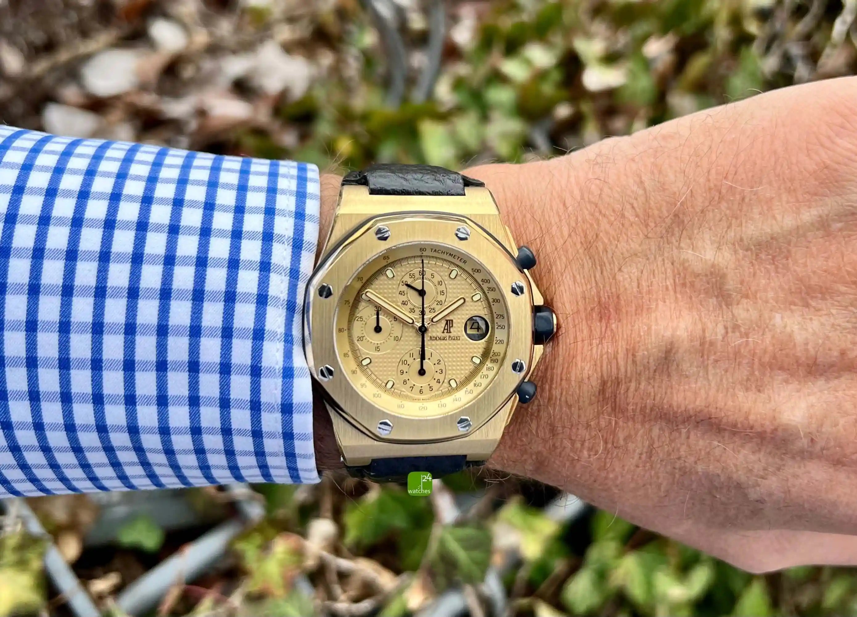 Offshore gold chrono