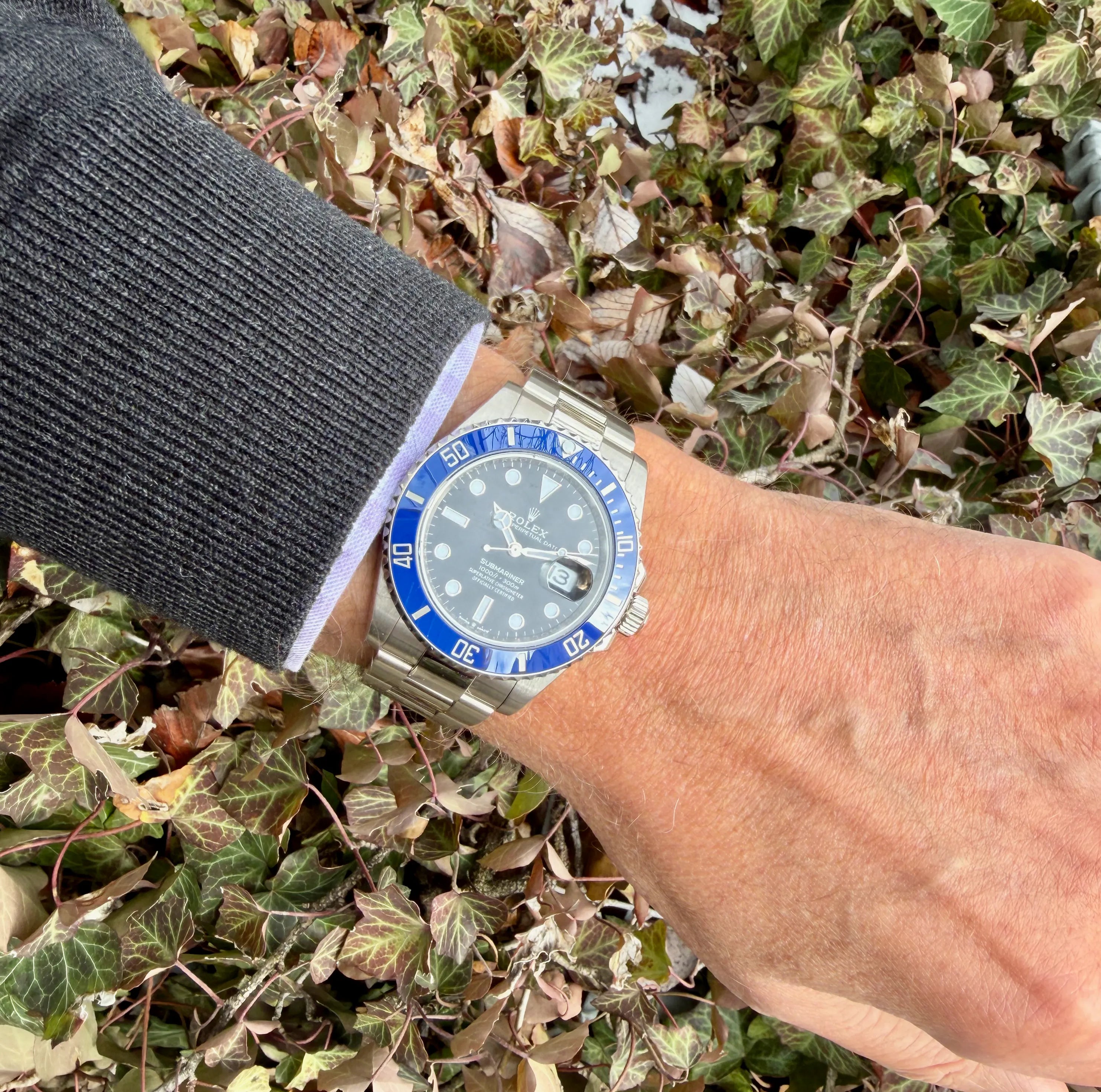 Rolex Submariner WG 2024 am Arm 