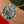 Charger l'image dans la galerie, Glashütte Original Sea Q Grande Date Acier Or rouge

