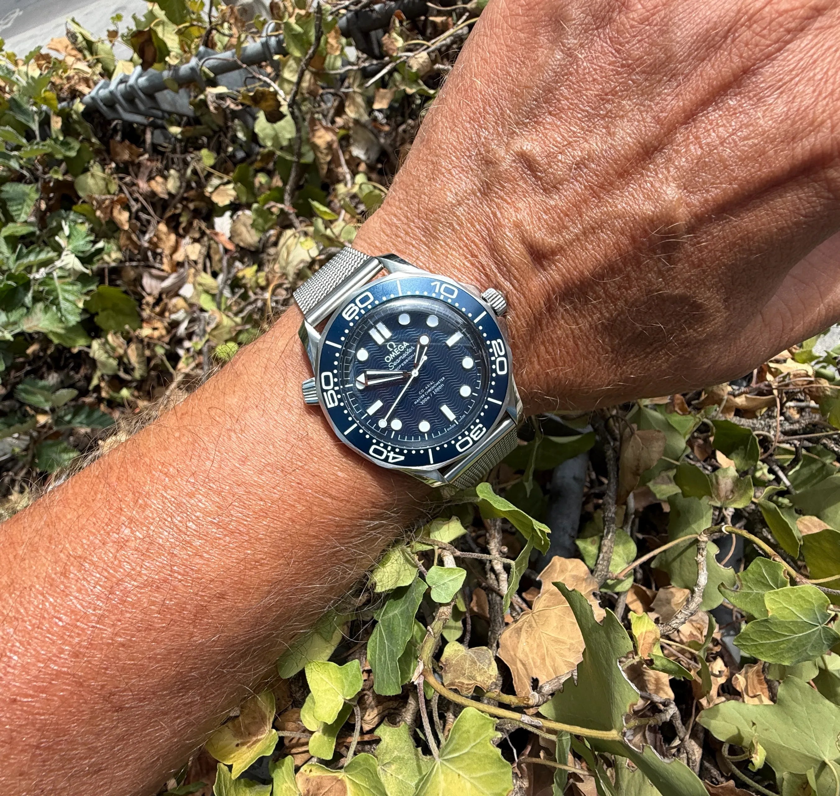 Omega Seamaster Bond  60 Jahre am Arm 