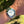 Laden Sie das Bild in den Galerie-Viewer, Omega Seamaster Diver 300 am Arm 
