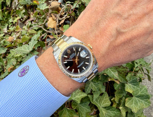 Rolex Datejust 36 116233 am Arm 