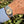 Load image into Gallery viewer, Rolex Datejust 31 WG am Arm 

