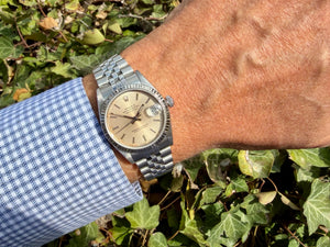 Rolex Datejust 31 WG am Arm 