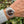 Laden Sie das Bild in den Galerie-Viewer, Rolex GMT Stahl Rotgold an Arn 
