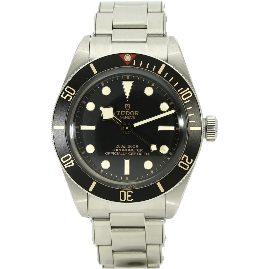 Tudor Black Bay 58 79030N stehend