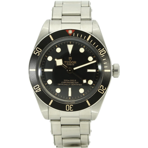 Tudor Black Bay 58 79030N stehend