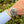 Laden Sie das Bild in den Galerie-Viewer, Tudor Black Bay 58 79030N am Arm 
