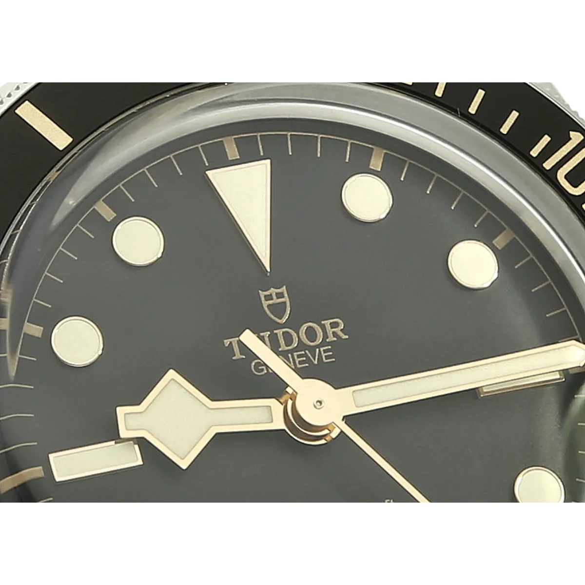 Tudor Black Bay 58 79030N  detail Dial